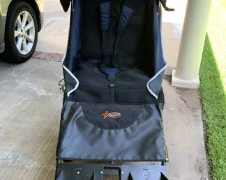 Adaptive Star Stroller