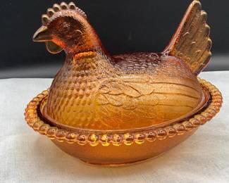 Amber Hen on Nest