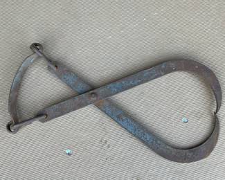 Ice tongs