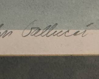 Adirondack Mist Signed JOHN GALLUCCI Original
