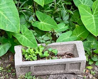 Planter