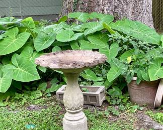 Birdbath, concrete planter