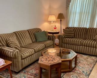 Sleeper sofas by flexsteel 