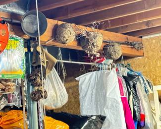 Bee Hive Decor, Antiques, and Clothes