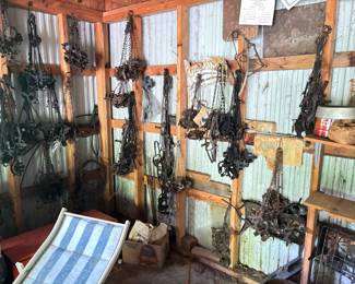 HUNDREDS of Antique Small Game Iron Traps
