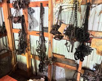 HUNDREDS of Antique Small Game Iron Traps