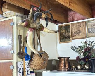 Authentic Horn Decor