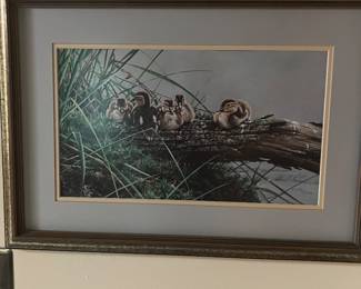 Alan M Hunt Duckling framed print 
