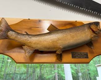 5lb Rainbow Steelhead caught in the Little Manistee River. 1969