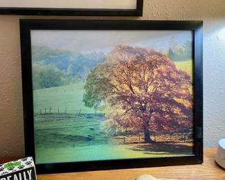 Holographic tree, watch the seasons change 