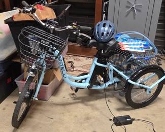 Motorized Trike