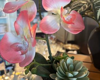 Artificial Orchid and Succulent Arrangement in Ceramic Pot