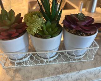 Artificial Succulent Plants in White Pots with Wire Basket