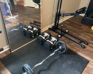 Gym weights