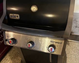 Weber Gas Grill