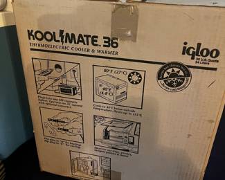 Electric Cooler - Works Fine