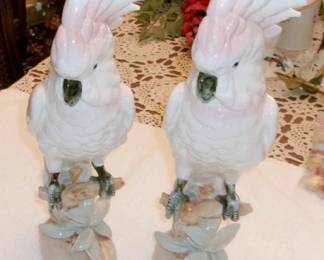 CHEZ PARROTS