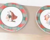 COLLECTOR PLATES
