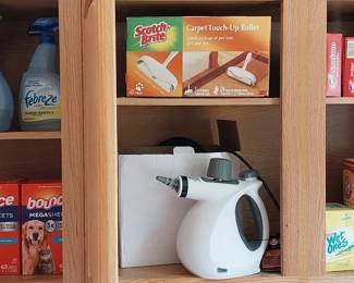cleaning supplies, steamer