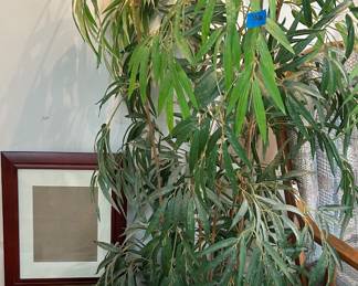 Tall artificial plant $30