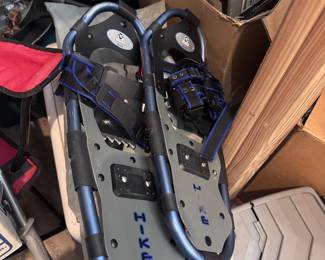 Snowshoes and poles