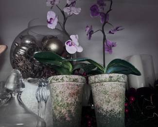 Floral arrangements 