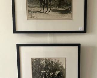 Equestrian photography, collection of Ed Slipek