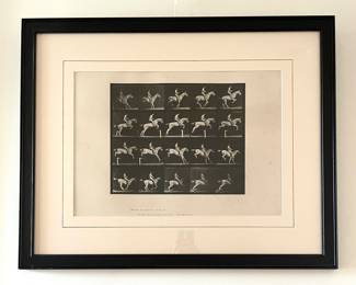 Edweard Muybridge