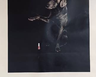 Wegman exhibition poster