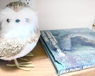 Decor + bird book