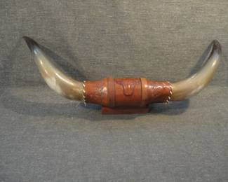 Mounted Steer Horns