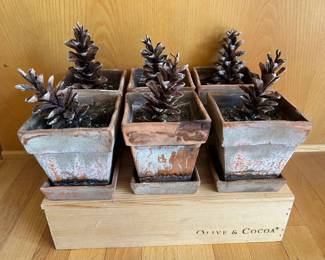 (6) Pinecones in Terracotta Pots