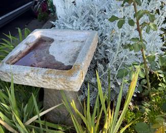 bird bath again