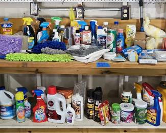 Assorted Cleaning and Pest Control Supplies