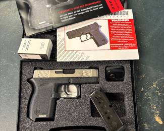 Diamond back pistol .380
