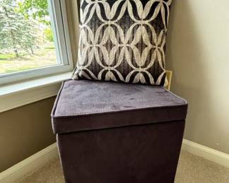 Foot stool with storage