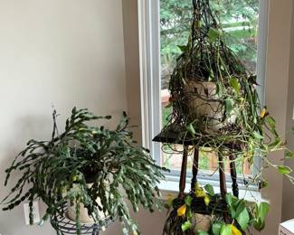 Live plants