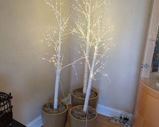 Lighted 'Birch' Trees