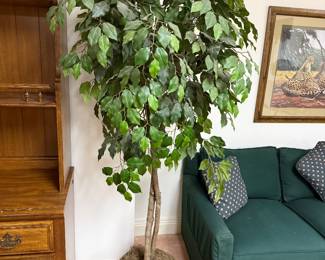 Floor fake ficus