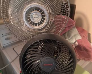 fans