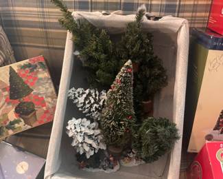 Christmas Trees
