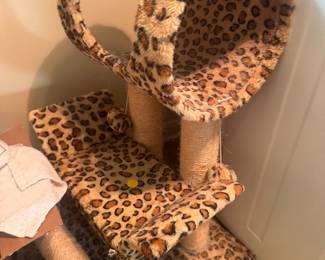 kitty play yard