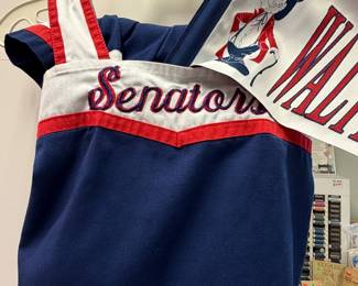 WALTERS STATE SENATORS CHEER UNIFORM