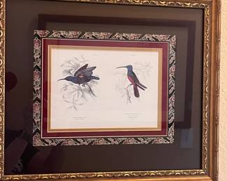 HUMMINGBIRD LITHOGRAPH