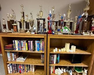BOOKSHELVES AND TROPHIES
