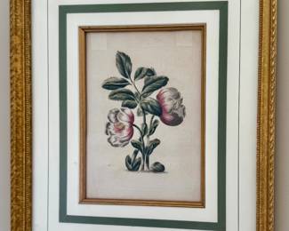 Botanical Print