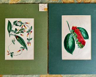 Vintage Prints