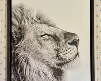 Stretched Canvas Lion