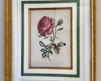 Botanical Print