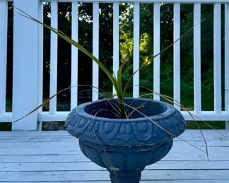 (2) Cast Iron Planters